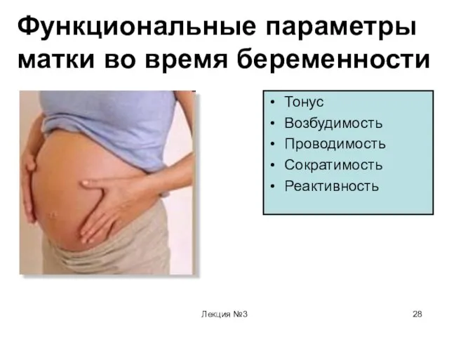 Лекция №3 Функциональные параметры матки во время беременности Тонус Возбудимость Проводимость Сократимость Реактивность