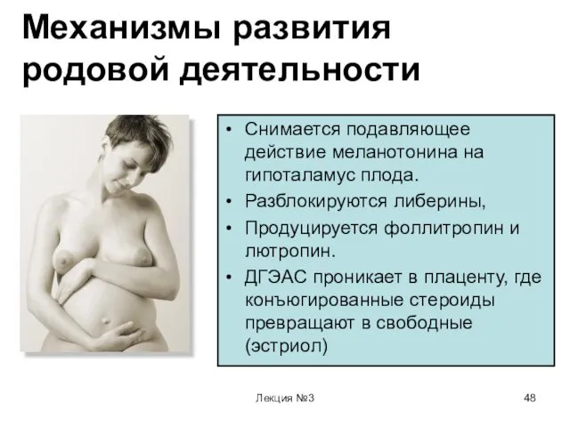 Лекция №3 Механизмы развития родовой деятельности Снимается подавляющее действие меланотонина на гипоталамус плода.