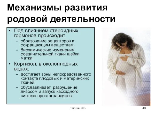 Лекция №3 Механизмы развития родовой деятельности Под влиянием стероидных гормонов происходит образование рецепторов