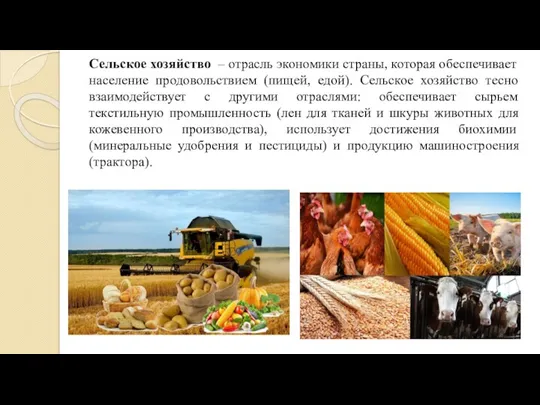 Сельское хозяйство – отрасль экономики страны, которая обеспечивает население продовольствием