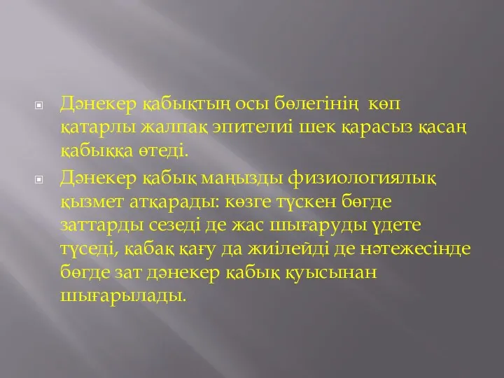 Дәнекер қабықтың осы бөлегінің көп қатарлы жалпақ эпителиі шек қарасыз