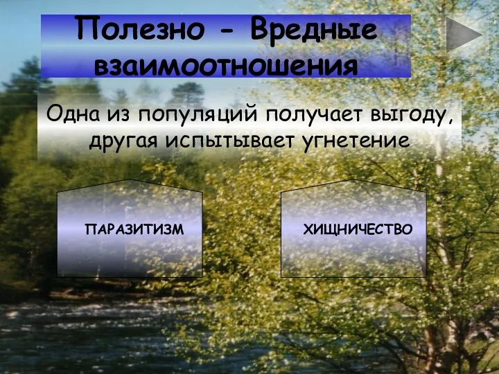 Полезно - Вредные взаимоотношения Одна из популяций получает выгоду, другая испытывает угнетение ПАРАЗИТИЗМ ХИЩНИЧЕСТВО