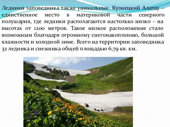 Ледники заповедника также уникальные. Кузнецкий Алатау – единственное место в материковой части северного