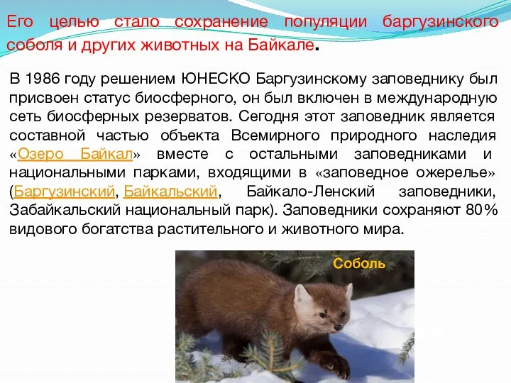 Его целью стало сохранение популяции баргузинского соболя и других животных на Байкале. В