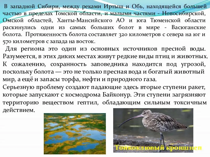 В западной Сибири, между реками Иртыш и Обь, находящейся большей частью в пределах