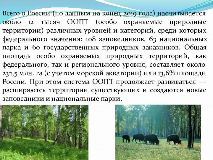 Всего в России (по данным на конец 2019 года) насчитывается около 12 тысяч