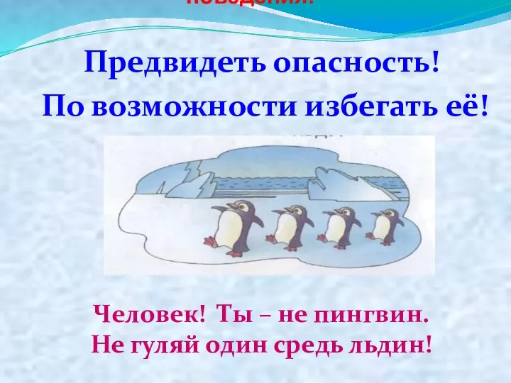 Следуйте принципам безопасного поведения: Предвидеть опасность! По возможности избегать её!