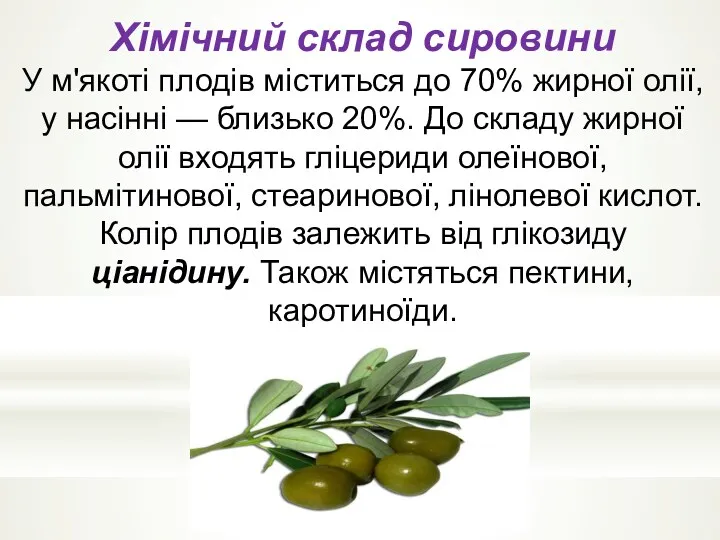 Хімічний склад сировини У м'якоті плодів міститься до 70% жирної