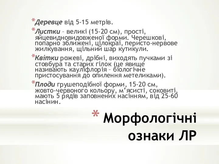 Морфологічні ознаки ЛР Деревце від 5-15 метрів. Листки – великі