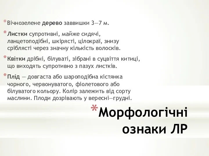 Морфологічні ознаки ЛР Вічнозелене дерево заввишки 3—7 м. Листки супротивні,