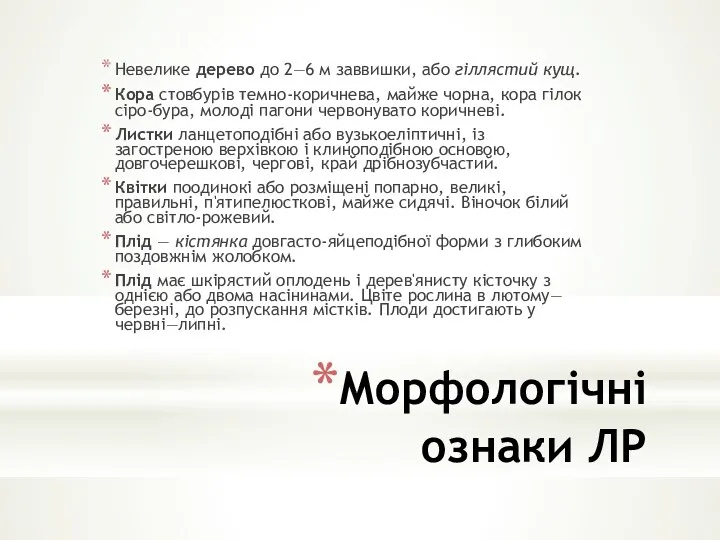 Морфологічні ознаки ЛР Невелике дерево до 2—6 м заввишки, або