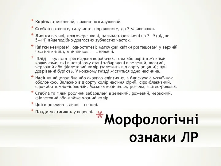 Морфологічні ознаки ЛР Корінь стрижневий, сильно розгалужений. Стебло соковите, галузисте,