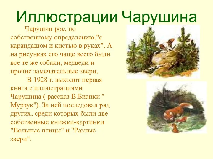 Иллюстрации Чарушина Чарушин рос, по собственному определению,"с карандашом и кистью