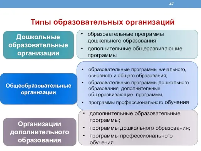 Дошкольные образовательные организации образовательные программы дошкольного образования; дополнительные общеразвивающие программы Типы образовательных организаций