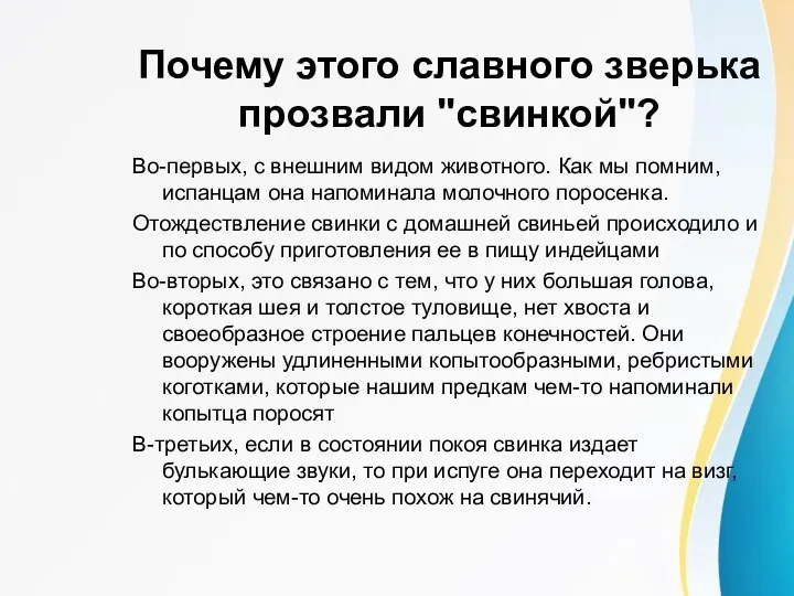 Почему этого славного зверька прозвали "свинкой"? Во-первых, с внешним видом