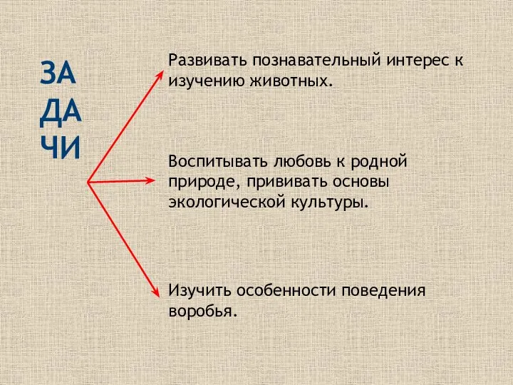 ЗАДАЧИ Развивать познавательный интерес к изучению животных. Воспитывать любовь к