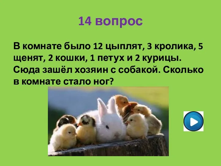 14 вопрос В комнате было 12 цыплят, 3 кролика, 5