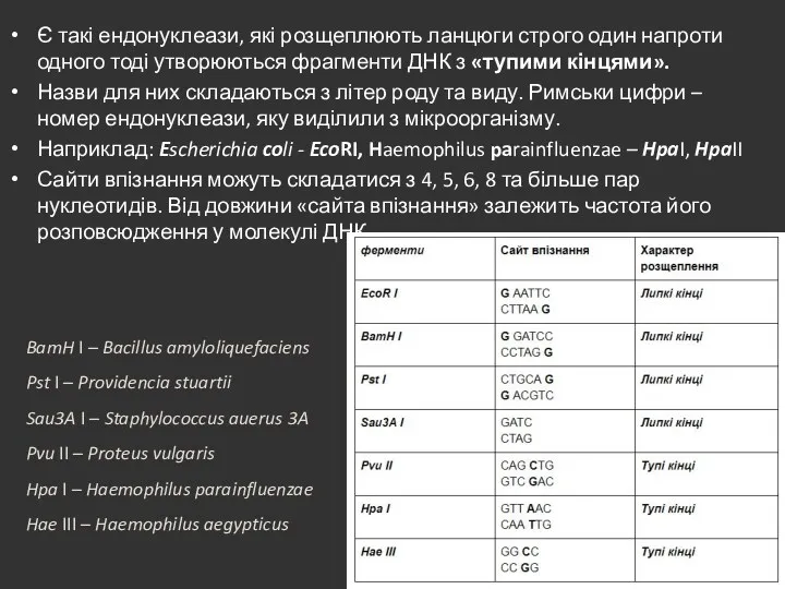 Є такі ендонуклеази, які розщеплюють ланцюги строго один напроти одного