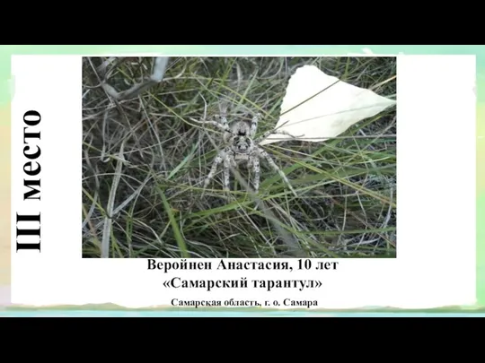 III место Веройнен Анастасия, 10 лет «Самарский тарантул» Самарская область, г. о. Самара