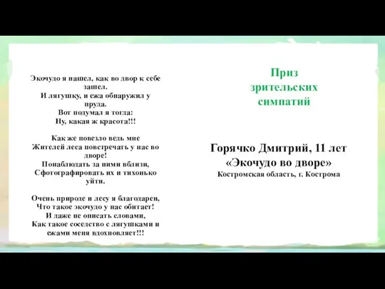 Горячко Дмитрий, 11 лет «Экочудо во дворе» Костромская область, г.