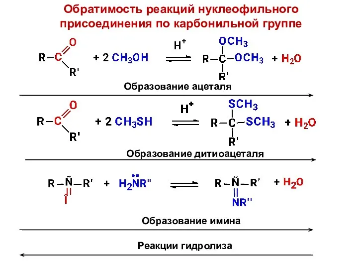 Обратимость реакций нуклеофильного присоединения по карбонильной группе Образование ацеталя Образование дитиоацеталя Образование имина Реакции гидролиза