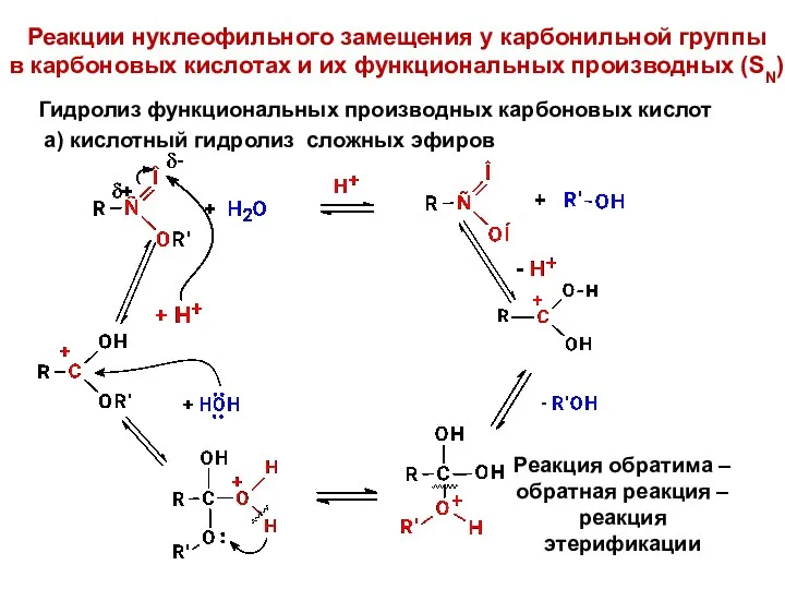 Реакции нуклеофильного замещения у карбонильной группы в карбоновых кислотах и