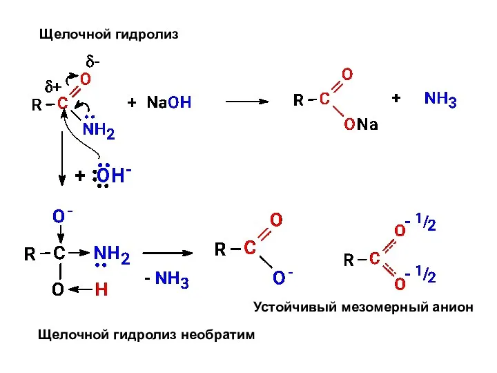 Щелочной гидролиз Щелочной гидролиз необратим Устойчивый мезомерный анион