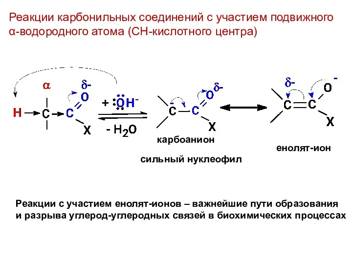 Реакции карбонильных соединений с участием подвижного α-водородного атома (СН-кислотного центра)
