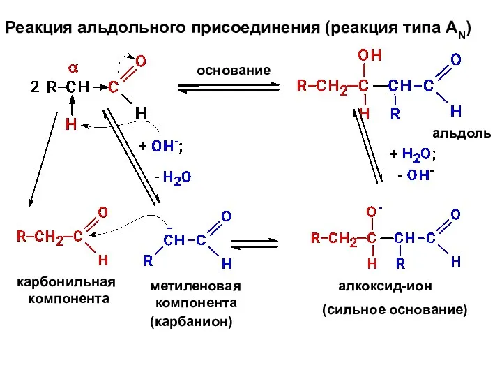 Реакция альдольного присоединения (реакция типа AN) основание альдоль карбонильная компонента метиленовая компонента (карбанион) алкоксид-ион (сильное основание)