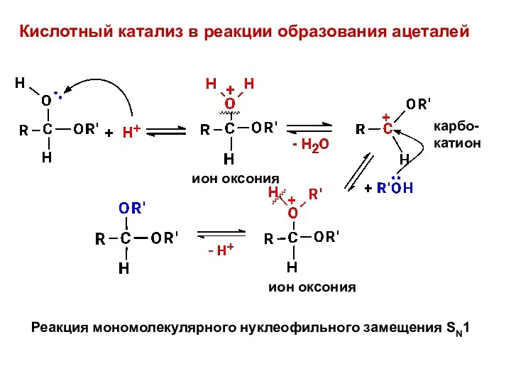 Кислотный катализ в реакции образования ацеталей Реакция мономолекулярного нуклеофильного замещения