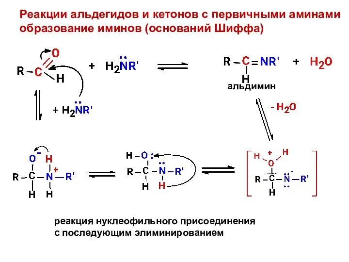 Реакции альдегидов и кетонов с первичными аминами образование иминов (оснований