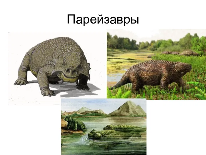 Парейзавры