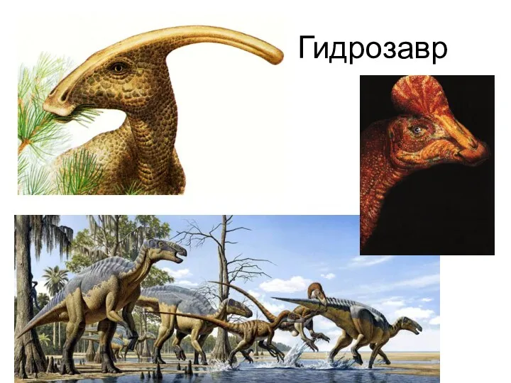 Гидрозавр