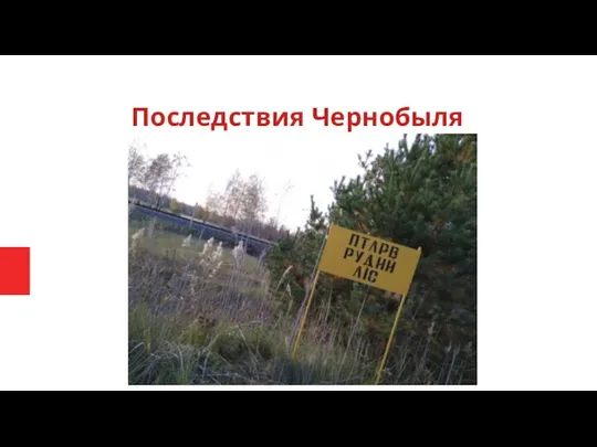 Последствия Чернобыля