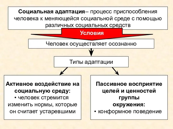 Социальная адаптация– процесс приспособления человека к меняющейся социальной среде с