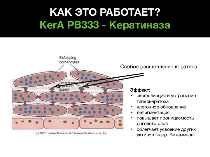 Особое расщепление кератина Эффект: эксфолиация и устранение гиперкератоза клеточное обновление