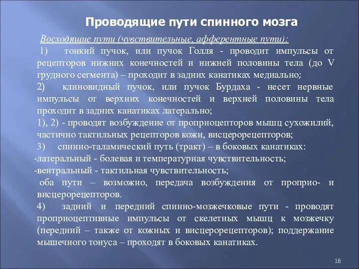 Проводящие пути спинного мозга Восходящие пути (чувствительные, афферентные пути): 1)