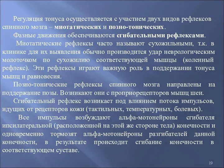 Регуляция тонуса осуществляется с участием двух видов рефлексов спинного мозга – миотатических и