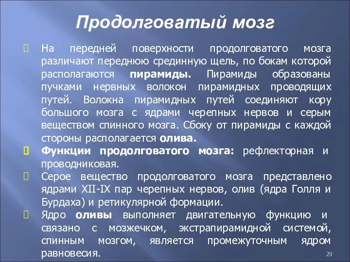 Продолговатый мозг На передней поверхности продолговатого мозга различают переднюю срединную