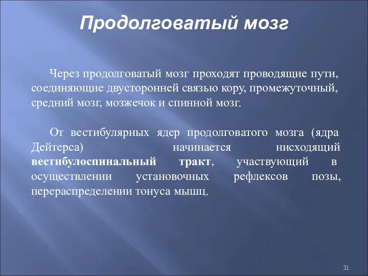 Через продолговатый мозг проходят проводящие пути, соединяющие двусторонней связью кору, промежуточный, средний мозг,