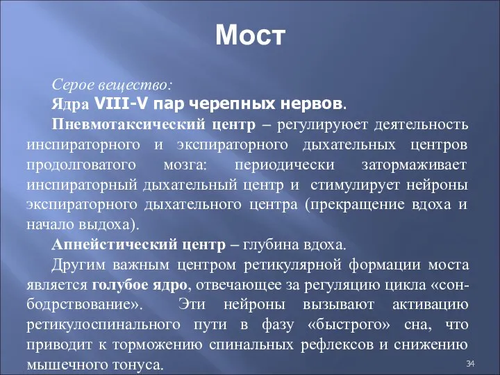 Мост Серое вещество: Ядра VIII-V пар черепных нервов. Пневмотаксический центр – регулируюет деятельность