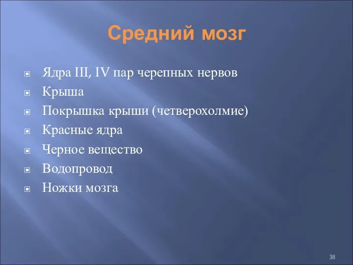 Средний мозг Ядра III, IV пар черепных нервов Крыша Покрышка крыши (четверохолмие) Красные