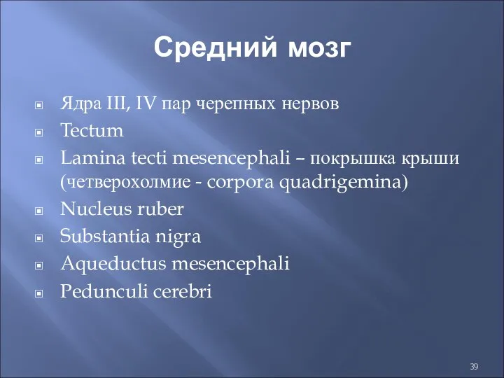 Средний мозг Ядра III, IV пар черепных нервов Tectum Lamina