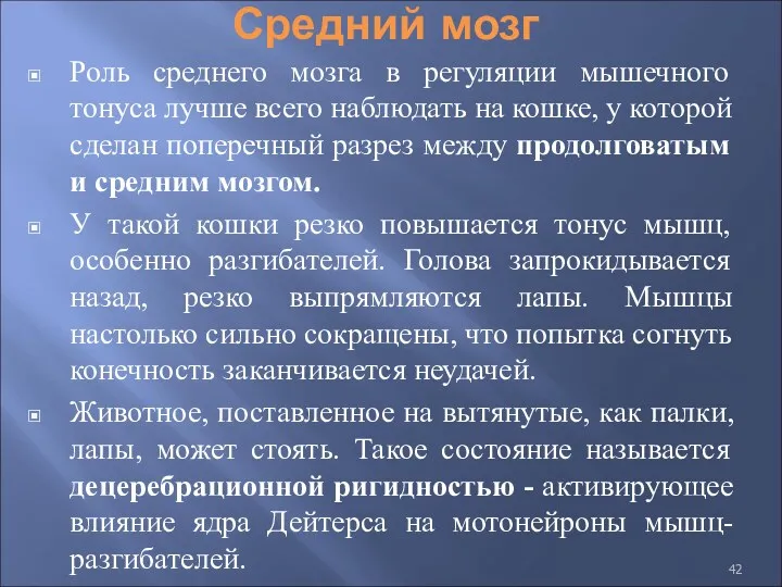 Средний мозг Роль среднего мозга в регуляции мышечного тонуса лучше всего наблюдать на