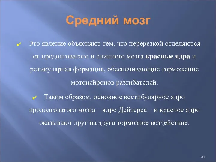 Средний мозг Это явление объясняют тем, что перерезкой отделяются от