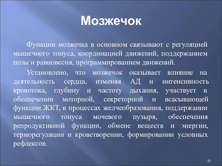 Мозжечок Функции мозжечка в основном связывают с регуляцией мышечного тонуса, координацией движений, поддержанием