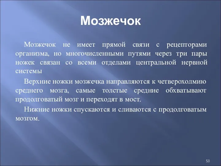 Мозжечок Мозжечок не имеет прямой связи с рецепторами организма, но многочисленными путями через