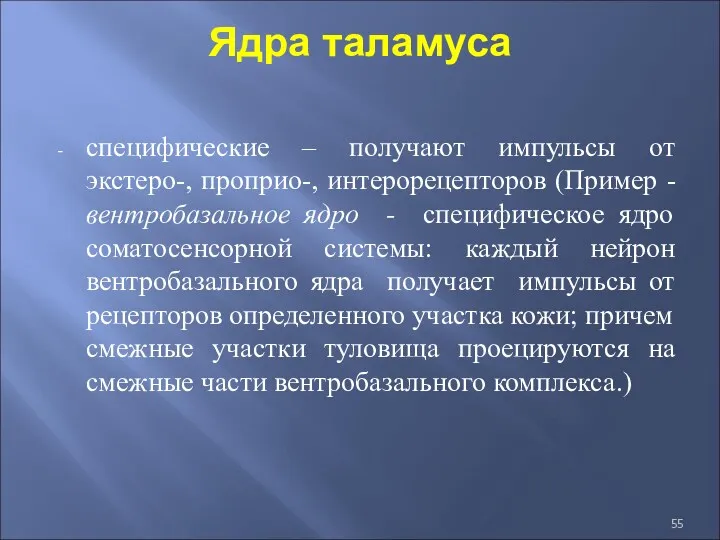 Ядра таламуса специфические – получают импульсы от экстеро-, проприо-, интерорецепторов