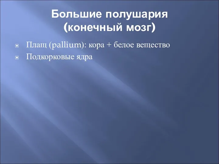 Большие полушария (конечный мозг) Плащ (pallium): кора + белое вещество Подкорковые ядра