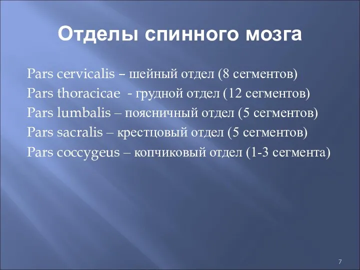 Отделы спинного мозга Pars cervicalis – шейный отдел (8 сегментов) Pars thoracicae -
